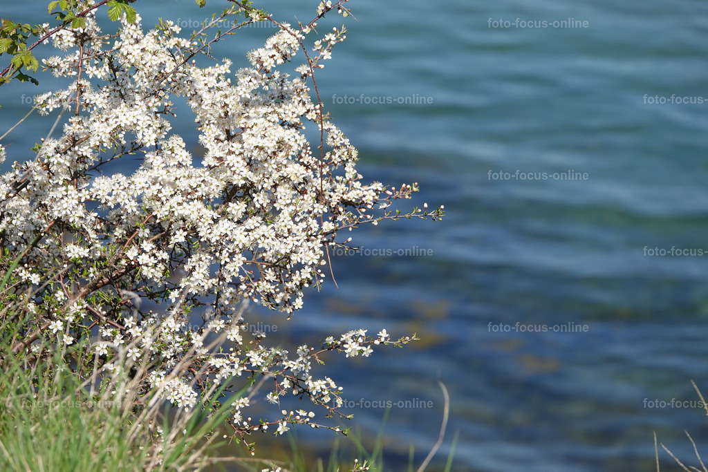 23 | Landscape photography, spectacular waves, Atlantic Ocean, Baltic Sea