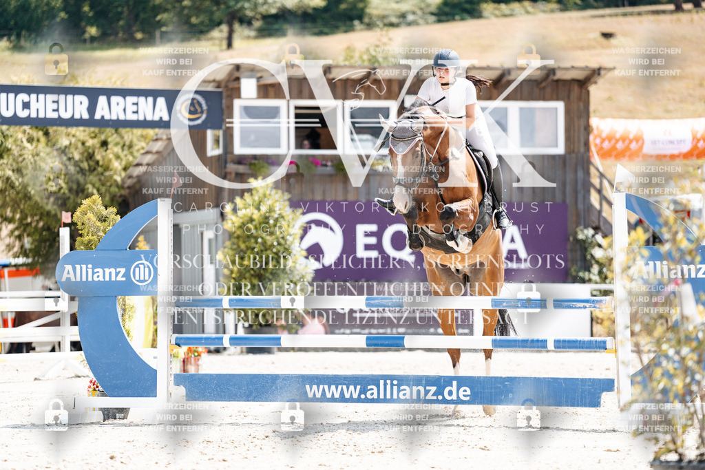 CK908069 | Turnierfotografie Pferdefotografie Trier Rheinland-Pfalz Pferdesport Reitsport Tierfotografie Sportfotografie Pferdevideo Pferdevideografie Equestrianvideography equestrianphotography  - Realisiert mit Pictrs.com