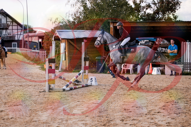 2026_10_03_Siefer-Hof_145129_Z81_30335110 | Professionelle Reitsport-, Turnier- und Eventfotografie von Robert Broda. Galerien mit ausgewählten und bearbeiteten Bildern direkt online ansehen und bestellen.