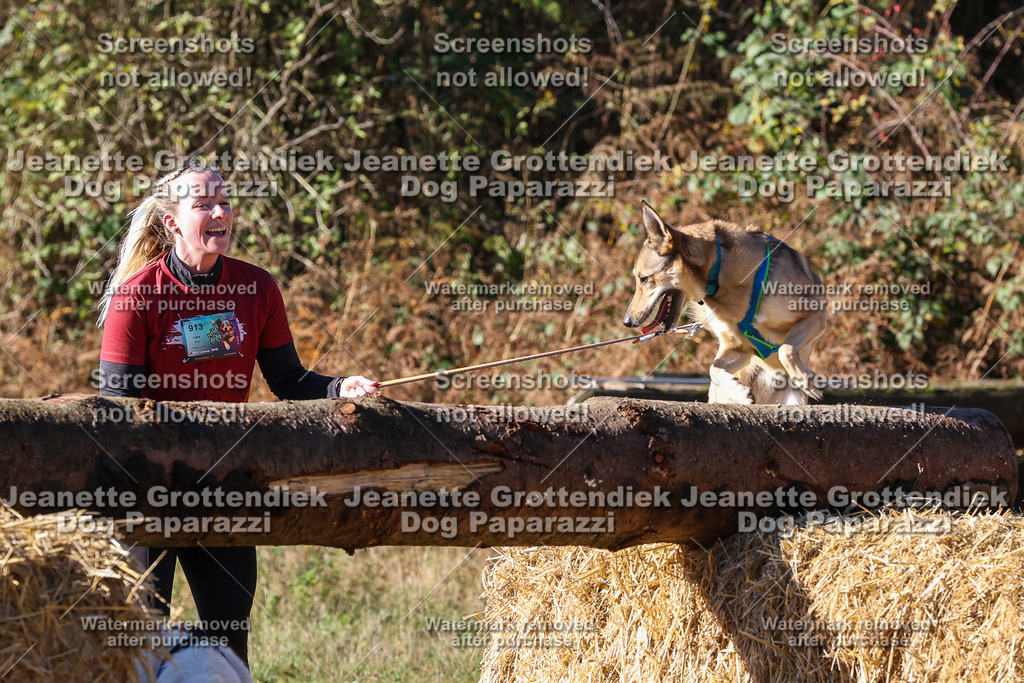 Dog Paparazzi - Strongdog 10-25-2350 | Dog Paparazzi Jeanette Grottendiek Fotografie & Videografie - Realisiert mit Pictrs.com