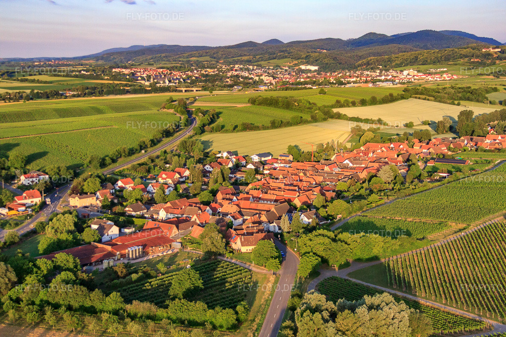 Luftbild: Dorfansicht am Morgen aus Nordosten in Niederhorbach im Bundesland Rheinland-Pfalz in Deutschland. Foto: IMG_67830.jpg vom 14.06.2014 durch Werner Riehm/FLY-FOTO.de
