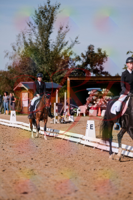 2026_10_03_Siefer-Hof_115505_Z81_95251667 | Professionelle Reitsport-, Turnier- und Eventfotografie von Robert Broda. Galerien mit ausgewählten und bearbeiteten Bildern direkt online ansehen und bestellen.