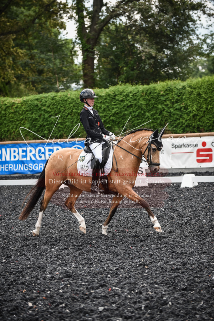 DSC_4410 | Pferde- und Turnierfotografie in Westsachsen. Pferdeportraits, Auftragszeichnungen und intuitive Kunst.