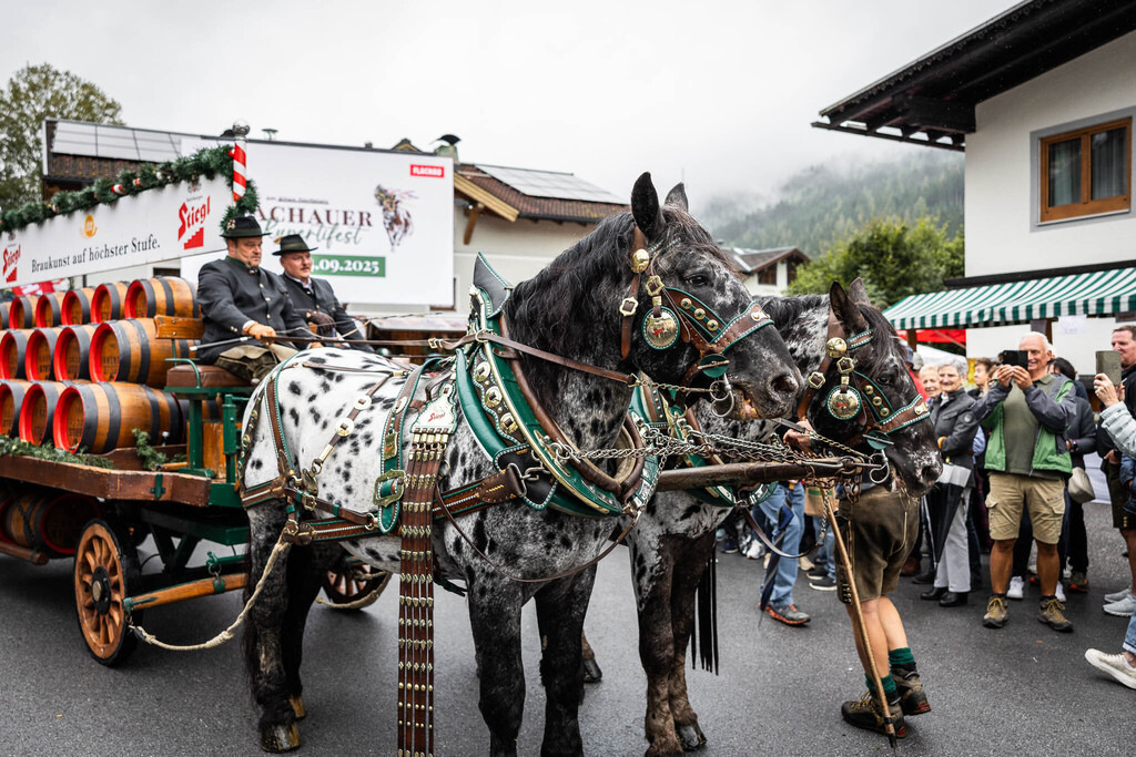 Rupertifest_Flachau_2k25_Webauflösung-43 | Bildershop Chri Fischbacher - Realisiert mit Pictrs.com