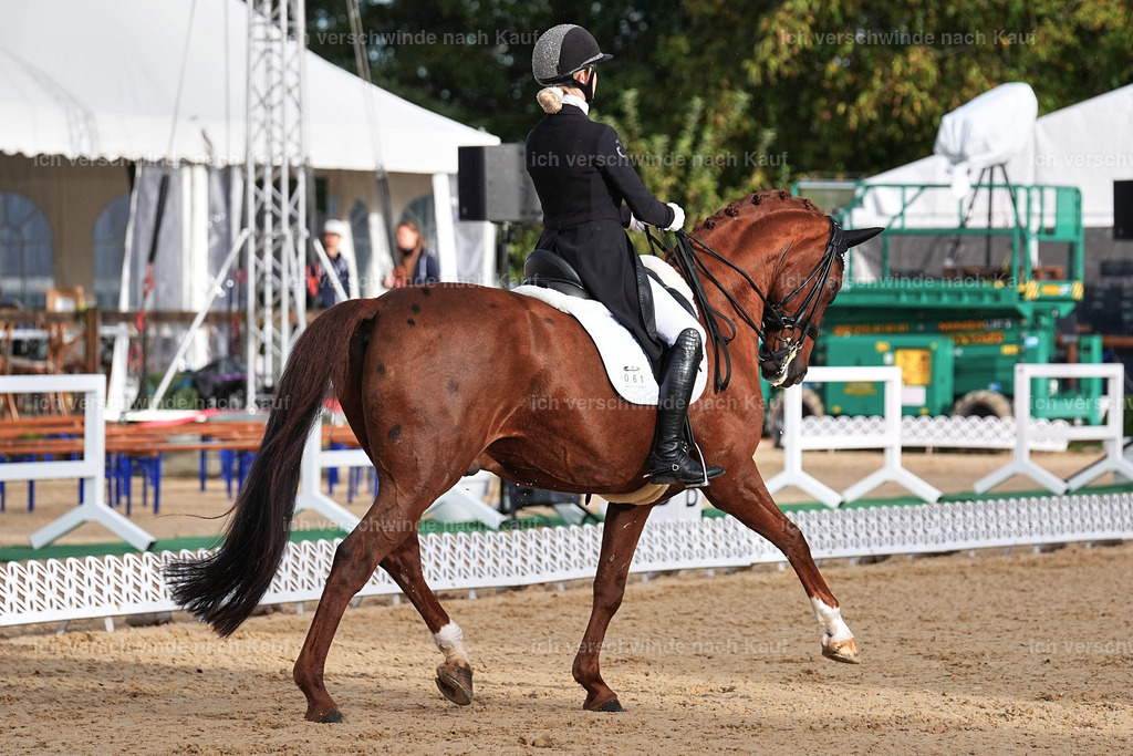 10-061-ST.GEORG SPECIAL -Marixx-3326 | working equitationturnier fotograf videograf stoibphotography marixx film working equitation deutschland reitsport turnierfotografie eventfotografie equestrian events