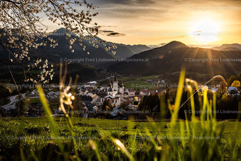 Basilika Mariazell 22042025 _ Fred Lindmoser- | Fotos und Fotoprodukte - Realisiert mit Pictrs.com