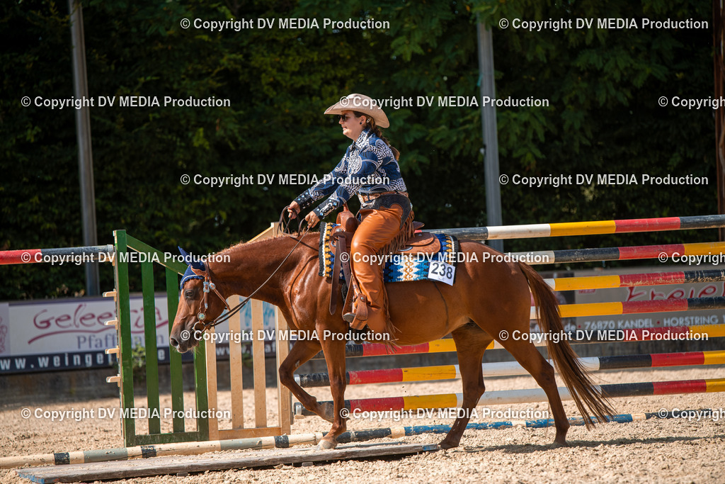 EWP_6838 | dv-media-shop - Realisiert mit Pictrs.com