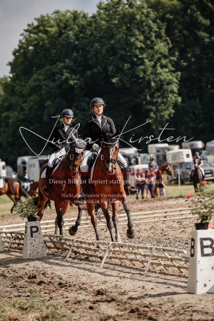 DSC_9071 | Pferde- und Turnierfotografie in Westsachsen. Pferdeportraits, Auftragszeichnungen und intuitive Kunst.