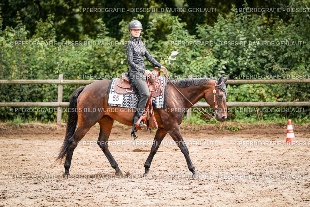 DSC04786 | Pferdegrafie