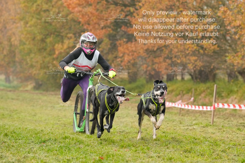 Visbeck_Sa_DS2DR2-54 | stephaniefillaphotographie - Realisiert mit Pictrs.com