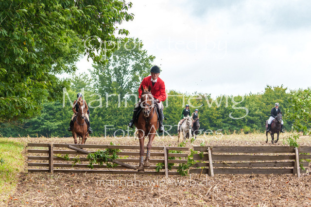 Jagd Kletkamp 26-03069_MarinaHewig | Fotografie, FotoArt, PferdesportArt, Pferdesportfotografie, Landschaftsfotografie, Reisefotografie, Reise, Pferde - Realisiert mit Pictrs.com