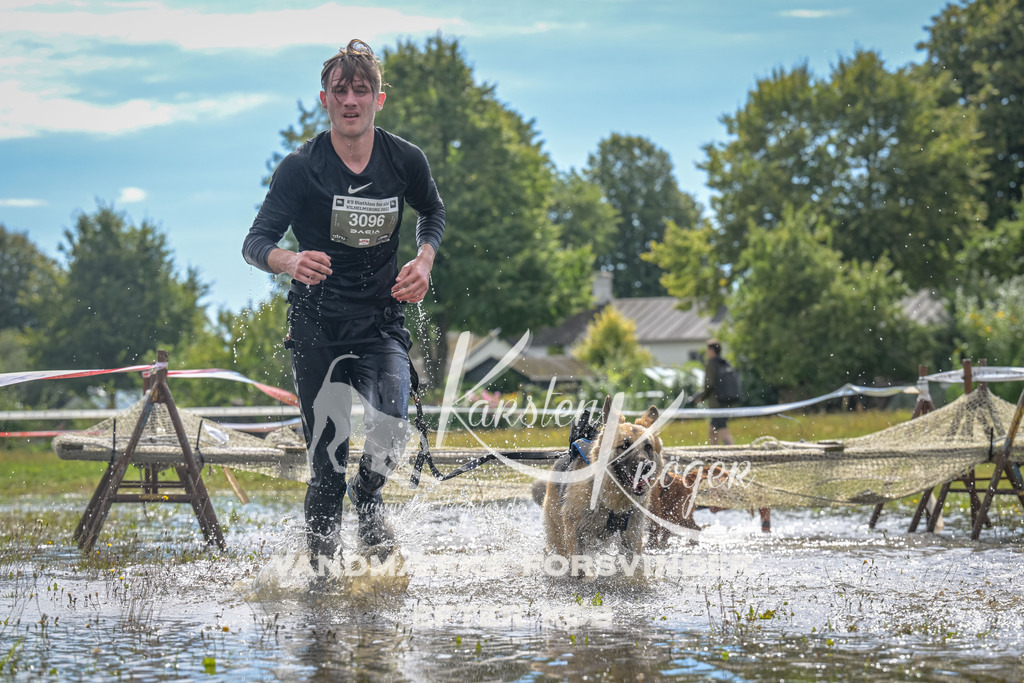 1325_ZZ91072 | kk-dogfotos