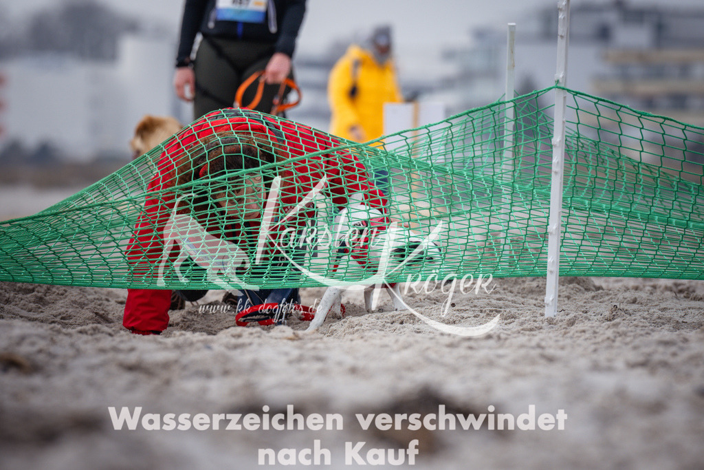 1148_ZZ90792 | kk-dogfotos