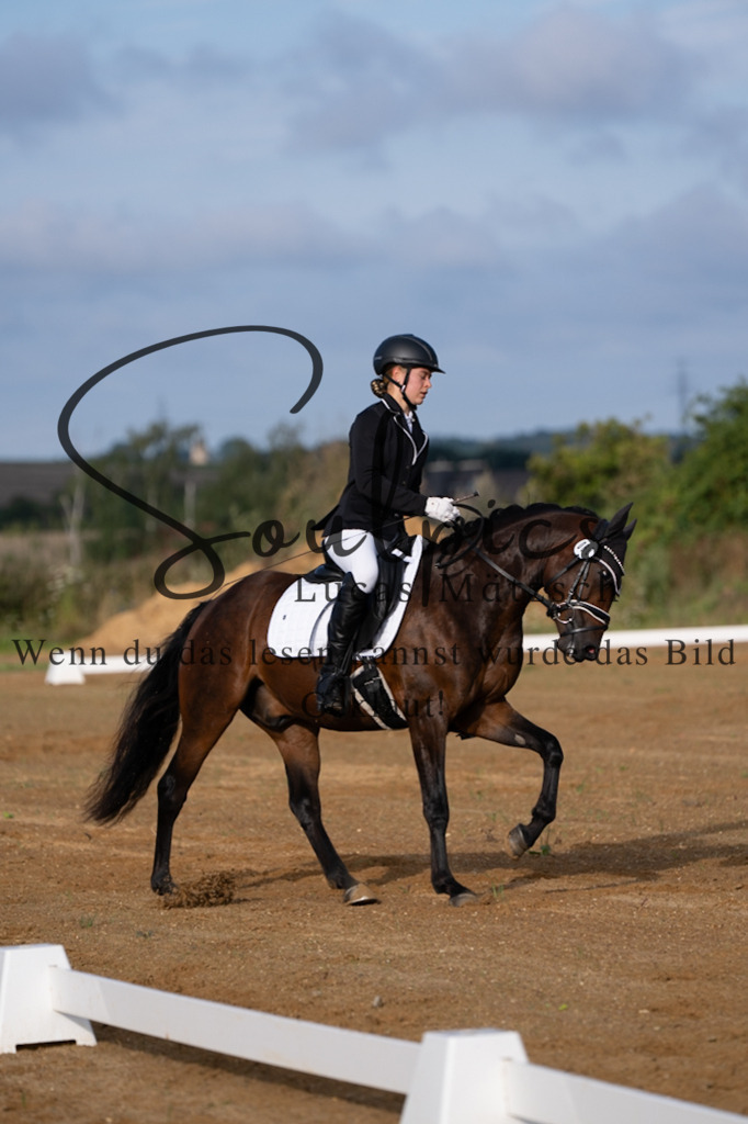 A7V03698 | Pferdefotograf