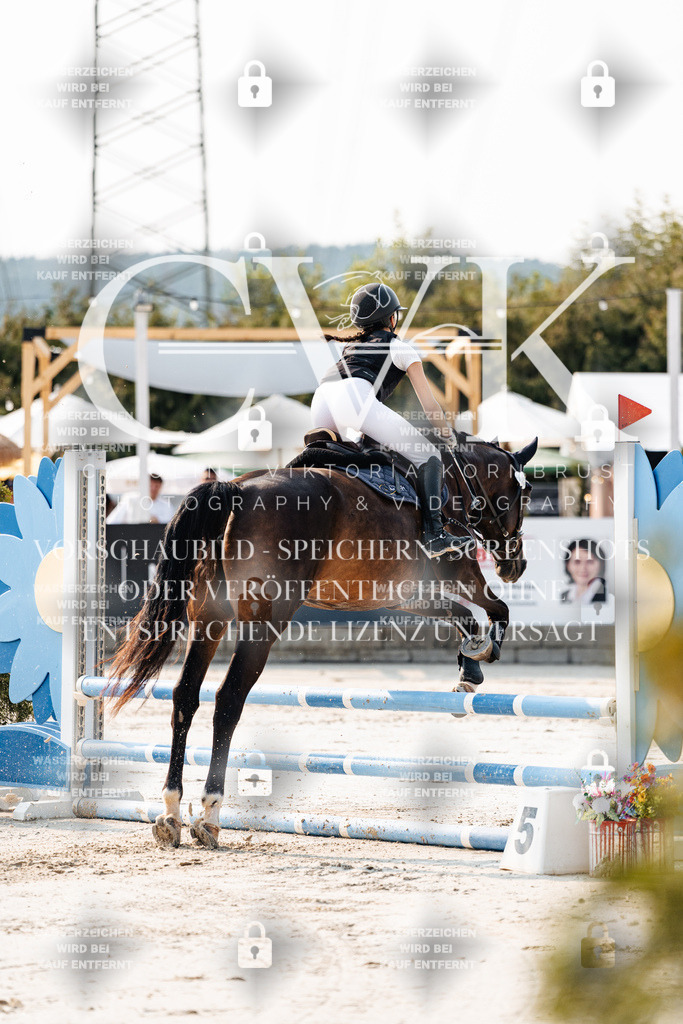 CK902789 | Turnierfotografie Pferdefotografie Trier Rheinland-Pfalz Pferdesport Reitsport Tierfotografie Sportfotografie Pferdevideo Pferdevideografie Equestrianvideography equestrianphotography  - Realisiert mit Pictrs.com