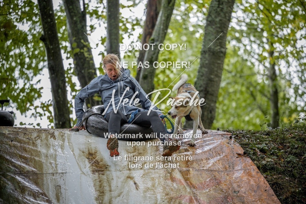 nelerasche_Hunsrück_Sa1430-1500_255-final | nelerasche