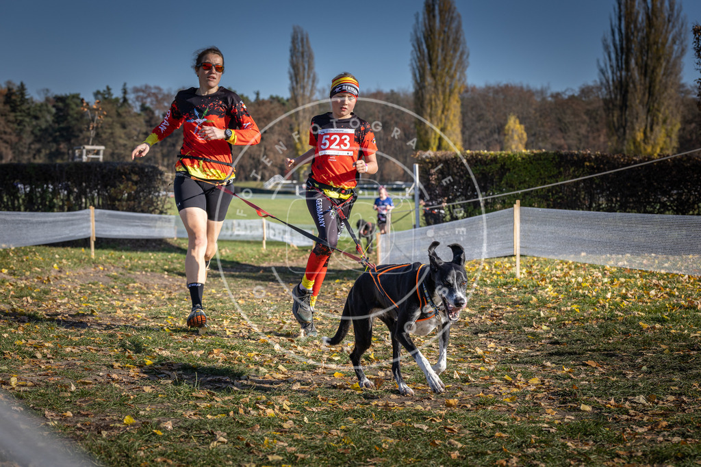 CaniXpix_DV3A8131 | Hundefotografie, Tierfotograf, Pfotenfotografie, Fotoshooting Hund, Hunde Portrait, Hundesport, Hundeportraits, Heideshooting, Hunde, Sportfotograf, Hundefotograf, Turnierhundsport, THS,  - Realisiert mit Pictrs.com