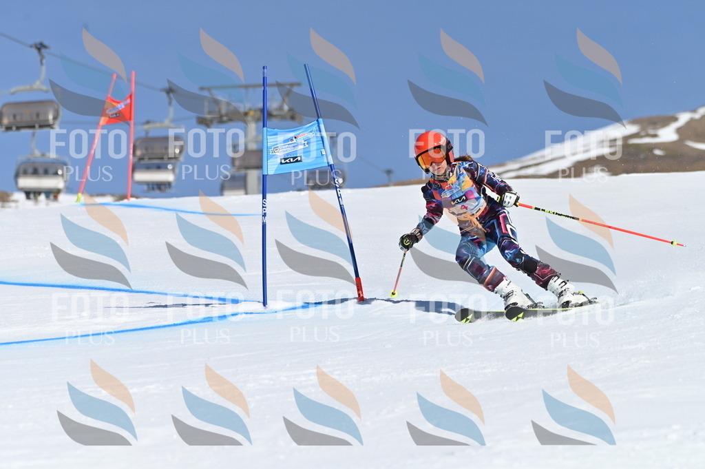 BGV_7635 | holidayphoto