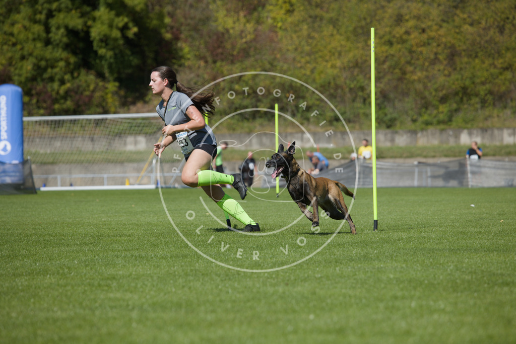 0L8A6085 | Hundefotografie, Tierfotograf, Pfotenfotografie, Fotoshooting Hund, Hunde Portrait, Hundesport, Hundeportraits, Heideshooting, Hunde, Sportfotograf, Hundefotograf, Turnierhundsport, THS,  - Realisiert mit Pictrs.com