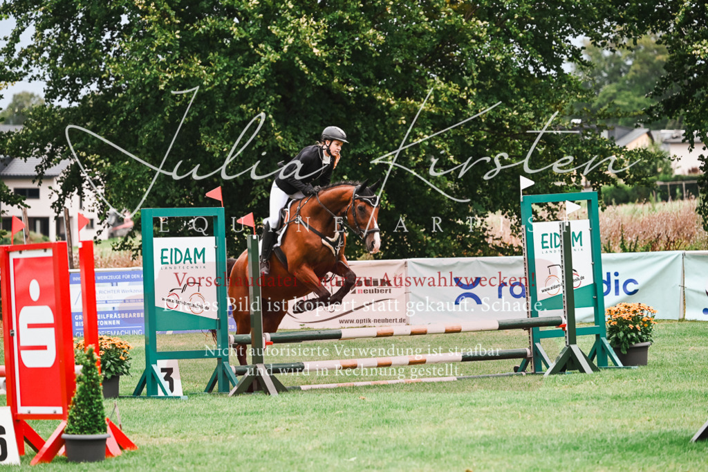 DSC_5921 | Pferde- und Turnierfotografie in Westsachsen. Pferdeportraits, Auftragszeichnungen und intuitive Kunst.