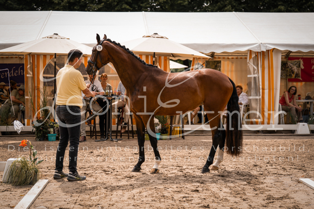 4.Fr00014 | Leoni Ertmer Photography - Realisiert mit Pictrs.com