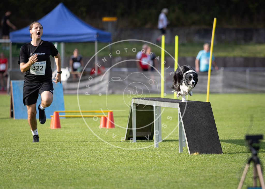 Pfotenfotografie_DV3A2491 | Hundefotografie, Tierfotograf, Pfotenfotografie, Fotoshooting Hund, Hunde Portrait, Hundesport, Hundeportraits, Heideshooting, Hunde, Sportfotograf, Hundefotograf, Turnierhundsport, THS,  - Realisiert mit Pictrs.com