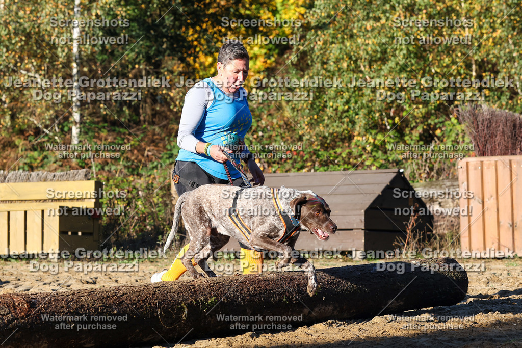 Dog Paparazzi - Strongdog 10-25-1346 | Dog Paparazzi Jeanette Grottendiek Fotografie & Videografie - Realisiert mit Pictrs.com