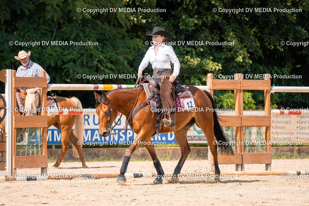 ZH100234 | dv-media-shop - Realisiert mit Pictrs.com