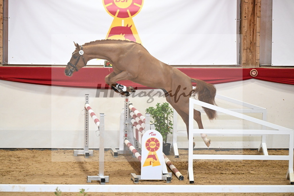 Kat.-Nr. 40 v. Zinedream_Retzlaff_2251273 | hf-fotografie - Realisiert mit Pictrs.com