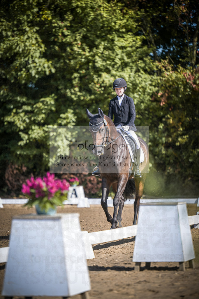 DOS_2927 | Entdecke hochwertige Reitturnierfotos von Foto Oger. Professionell, emotional und authentisch – jetzt Lieblingsmomente im Shop bestellen.Deutschlandweite Turnierfotografie. - Realisiert mit Pictrs.com