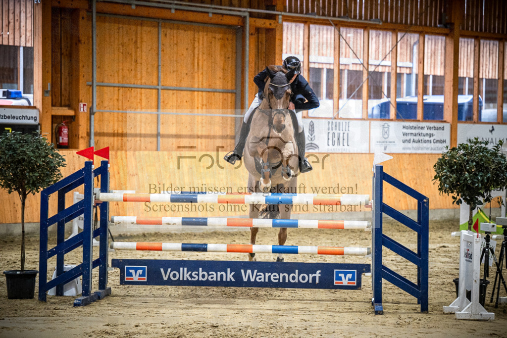 DOS_2019 | Entdecke hochwertige Reitturnierfotos von Foto Oger. Professionell, emotional und authentisch – jetzt Lieblingsmomente im Shop bestellen.Deutschlandweite Turnierfotografie. - Realisiert mit Pictrs.com