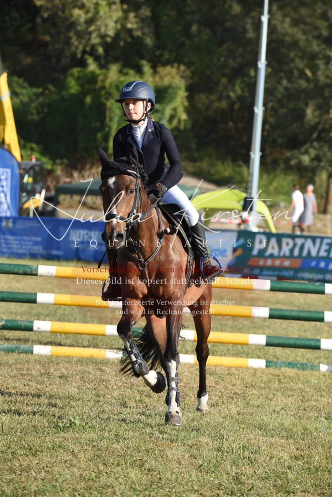 DSC_5101 | Pferde- und Turnierfotografie in Westsachsen. Pferdeportraits, Auftragszeichnungen und intuitive Kunst.