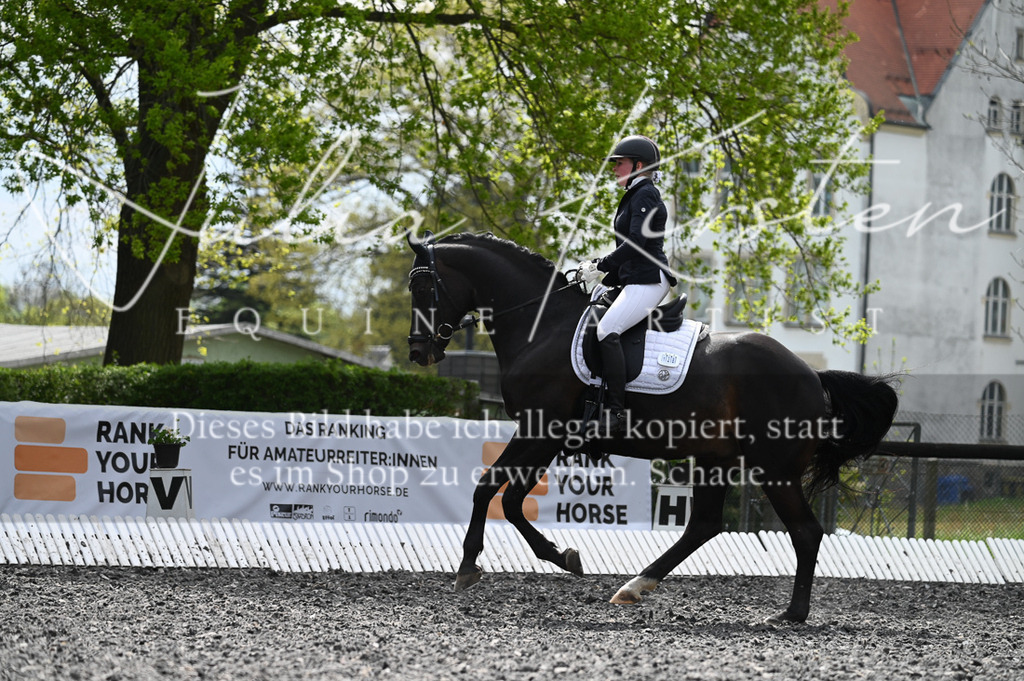 20230512_JK-Röhrsdorf-08-151 | Pferde- und Turnierfotografie in Westsachsen. Pferdeportraits, Auftragszeichnungen und intuitive Kunst.