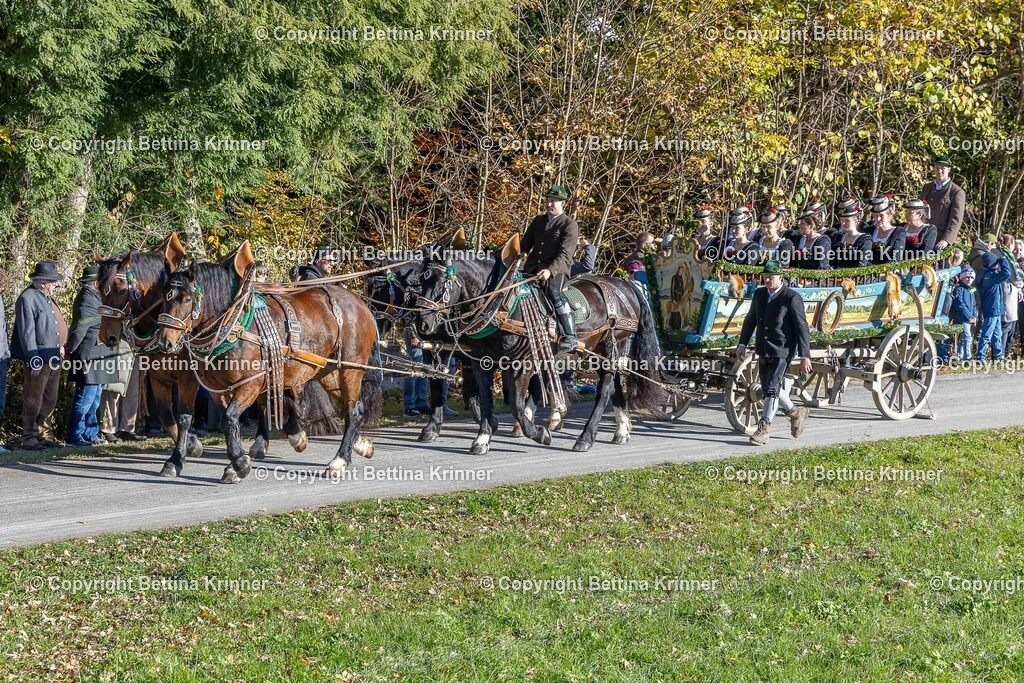 LBT25-292 | foto-bettina-krinner - Realisiert mit Pictrs.com