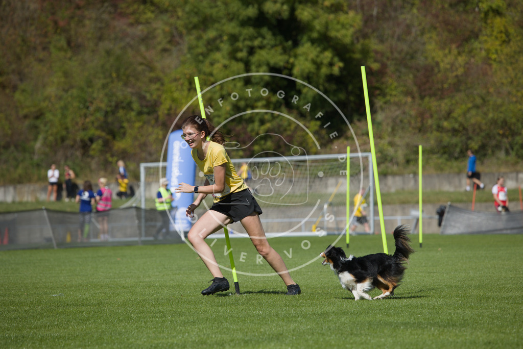 0L8A5918 | Hundefotografie, Tierfotograf, Pfotenfotografie, Fotoshooting Hund, Hunde Portrait, Hundesport, Hundeportraits, Heideshooting, Hunde, Sportfotograf, Hundefotograf, Turnierhundsport, THS,  - Realisiert mit Pictrs.com