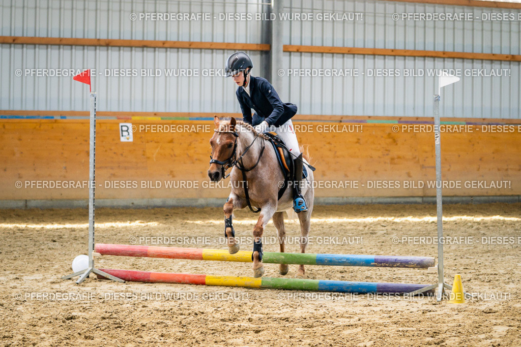 DSC02342 | Pferdegrafie