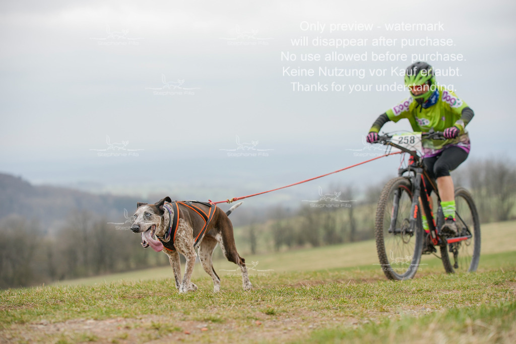 BikeSA-340 | stephaniefillaphotographie - Realisiert mit Pictrs.com