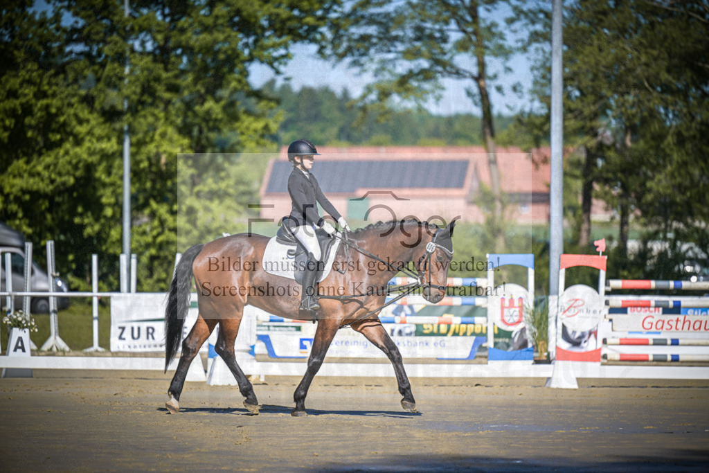DOS_2882 | Entdecke hochwertige Reitturnierfotos von Foto Oger. Professionell, emotional und authentisch – jetzt Lieblingsmomente im Shop bestellen.Deutschlandweite Turnierfotografie. - Realisiert mit Pictrs.com