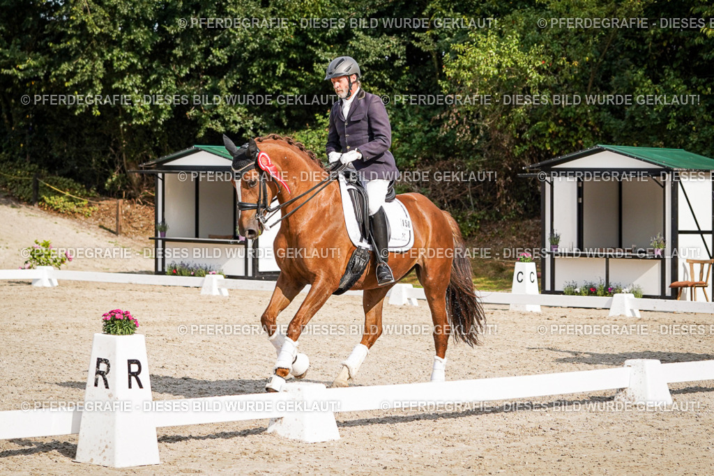 DSC07676 | Pferdegrafie