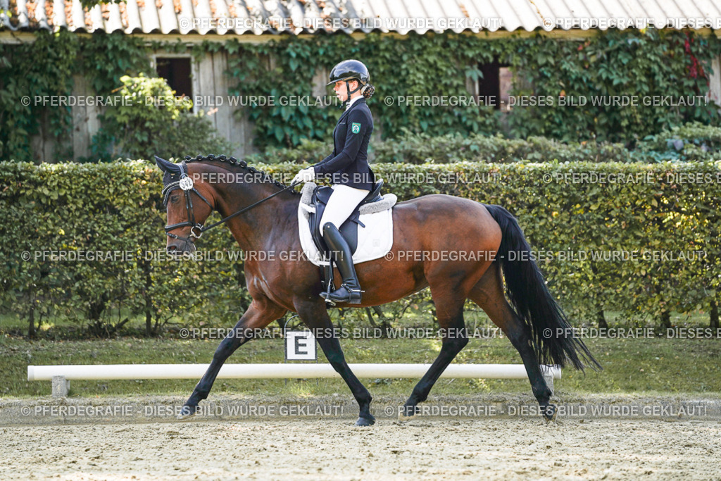 DSC07177 | Pferdegrafie