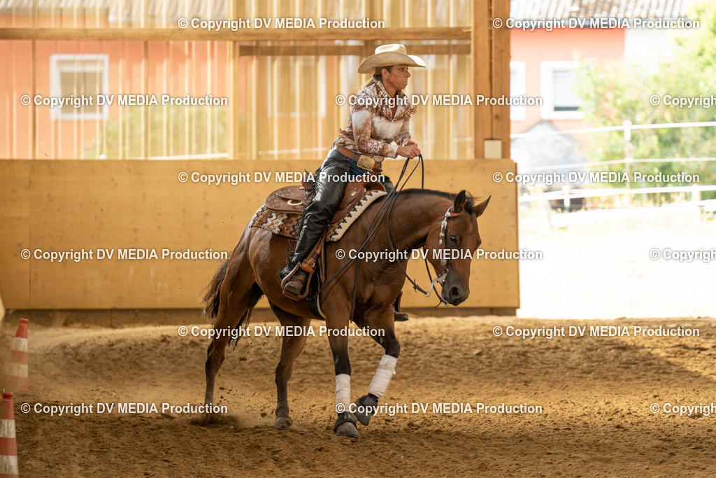 LAU01522 | dv-media-shop - Realisiert mit Pictrs.com