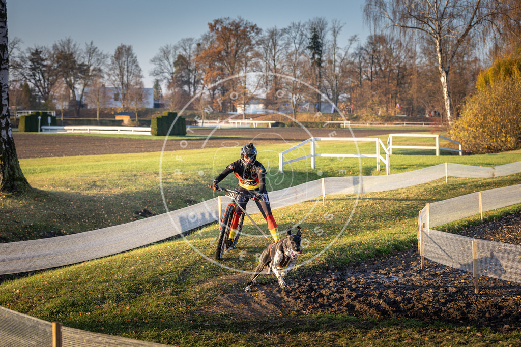 CaniXpix_DV3A9978 | Hundefotografie, Tierfotograf, Pfotenfotografie, Fotoshooting Hund, Hunde Portrait, Hundesport, Hundeportraits, Heideshooting, Hunde, Sportfotograf, Hundefotograf, Turnierhundsport, THS,  - Realisiert mit Pictrs.com