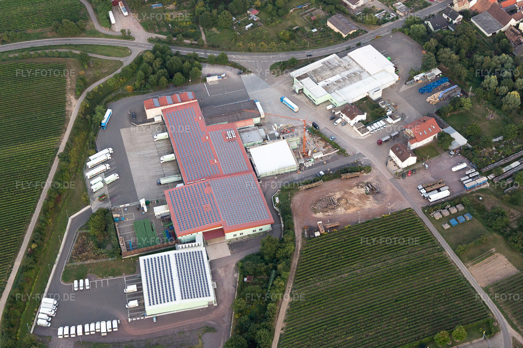 Luftbild: Adam Theis GmbH - Frischgemuese seit 1875 im Ortsteil Niederhochstadt in Hochstadt im Bundesland Rheinland-Pfalz in Deutschland. Foto: IMG_094623.jpg vom 02.09.2016 durch Werner Riehm/FLY-FOTO.deAdam Theis GmbH