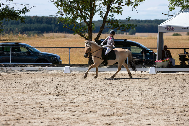 IMG_3591_nachbearbeitet_sepia | normansfotografie - Realisiert mit Pictrs.com