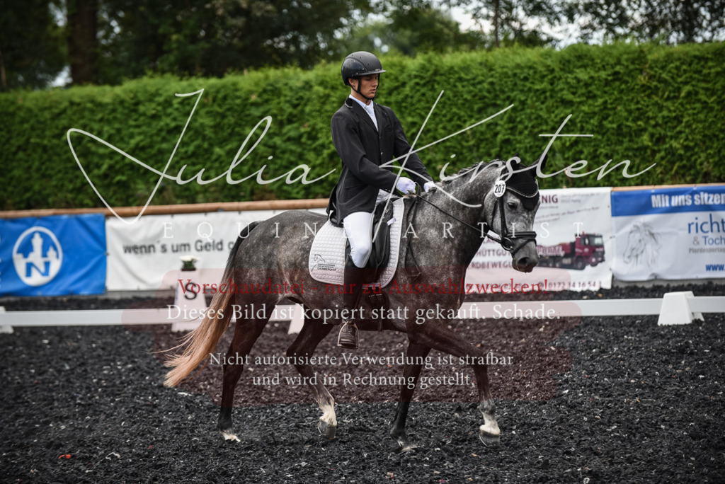 DSC_4612 | Pferde- und Turnierfotografie in Westsachsen. Pferdeportraits, Auftragszeichnungen und intuitive Kunst.