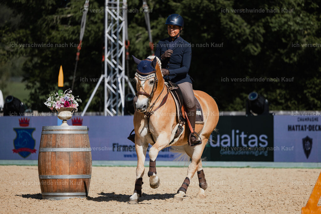 Tanesha5FHC2025-27435 | working equitationturnier fotograf videograf stoibphotography marixx film working equitation deutschland reitsport turnierfotografie eventfotografie equestrian events