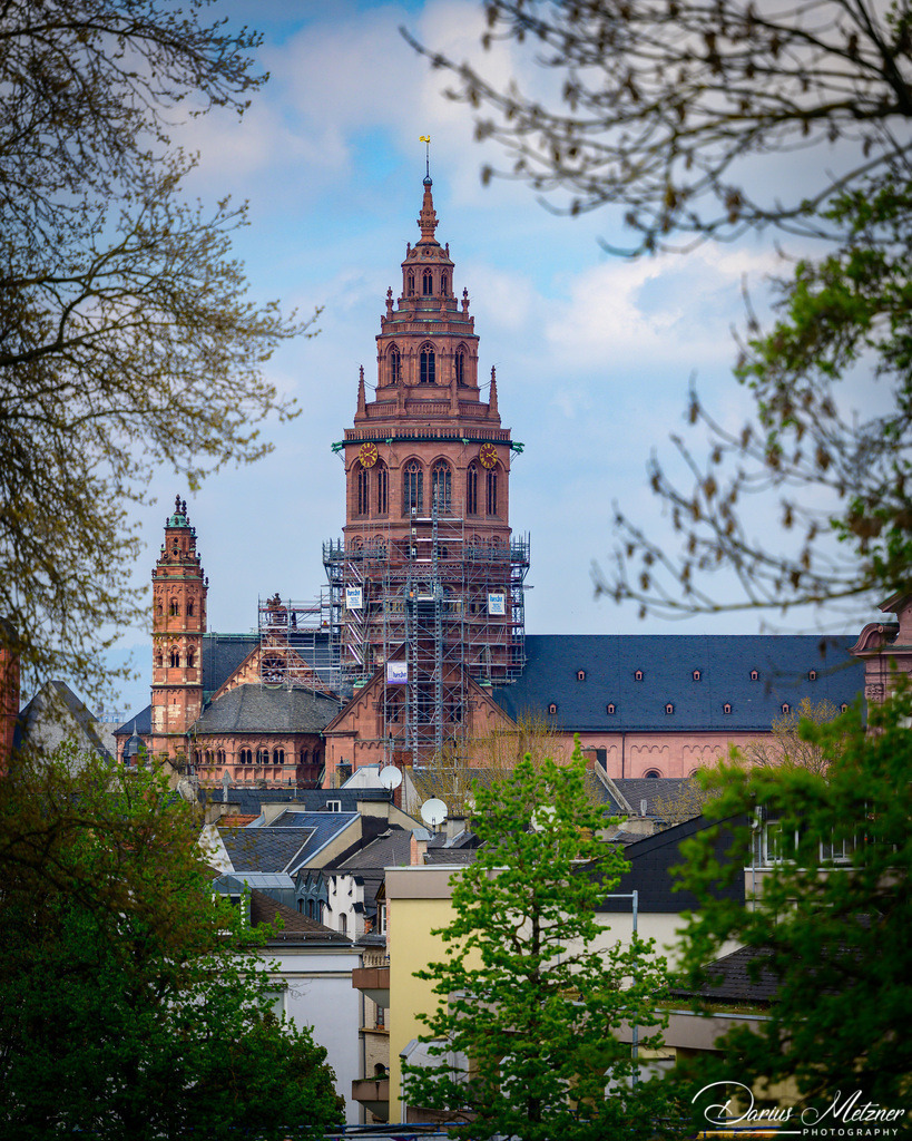 Der Mainzer Dom St Martin | Der Mainzer Dom St Martin