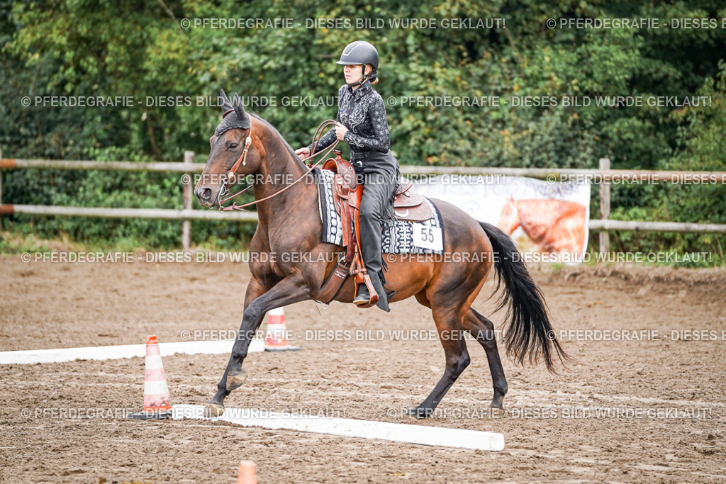 DSC03189 | Pferdegrafie