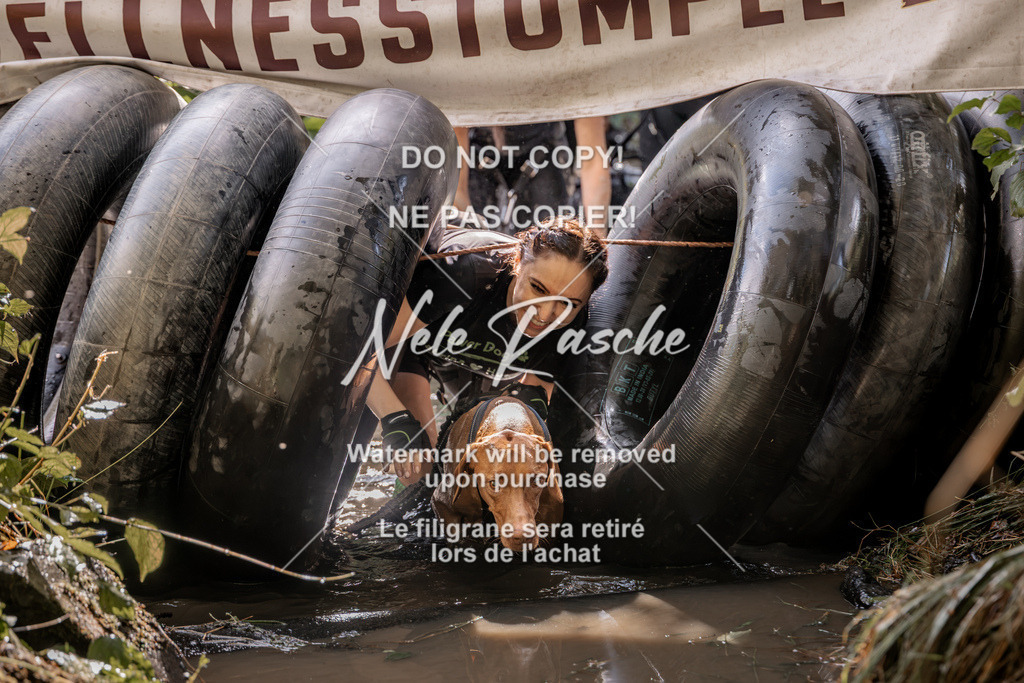 nelerasche_Hunsrück2026_Sa1400-1500_377 | nelerasche