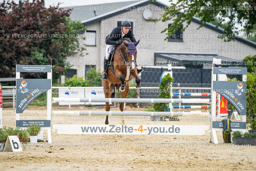 DSC00595 | Pferdegrafie